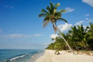 Want to Become a Digital Nomad?
