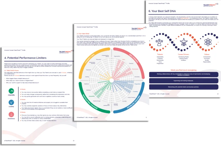 Strengths Profiling Sample-Report-Pages